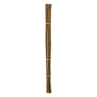 Gardalux Plantenstok | Gardalux | 60 cm | 10 stuks (Ø 6/9 mm, Bamboe) 836610140 K170105857 - 2
