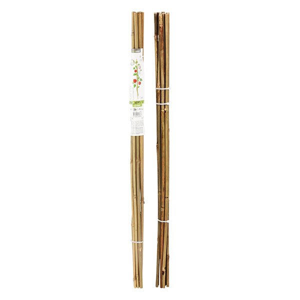 Gardalux Plantenstok | Gardalux | 78 cm | 10 stuks (Ø 6/9 mm, Bamboe) 836610150 K170105858 - 1