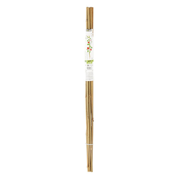 Gardalux Plantenstok | Gardalux | 78 cm | 10 stuks (Ø 6/9 mm, Bamboe) 836610150 K170105858 - 2
