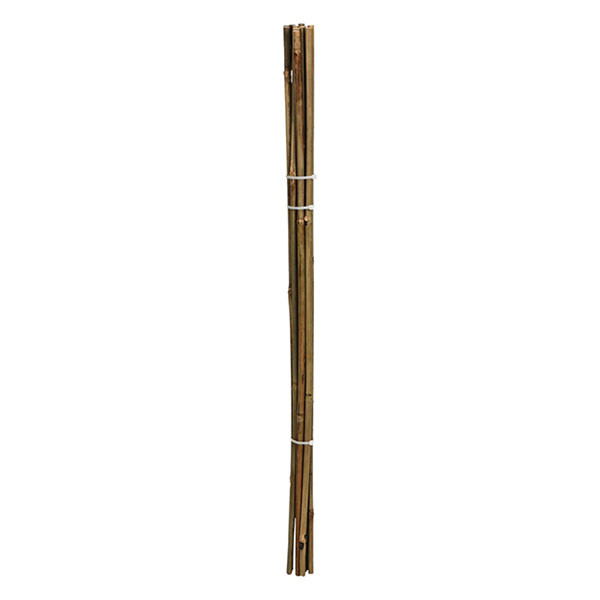Gardalux Plantenstok | Gardalux | 78 cm | 10 stuks (Ø 6/9 mm, Bamboe) 836610150 K170105858 - 3