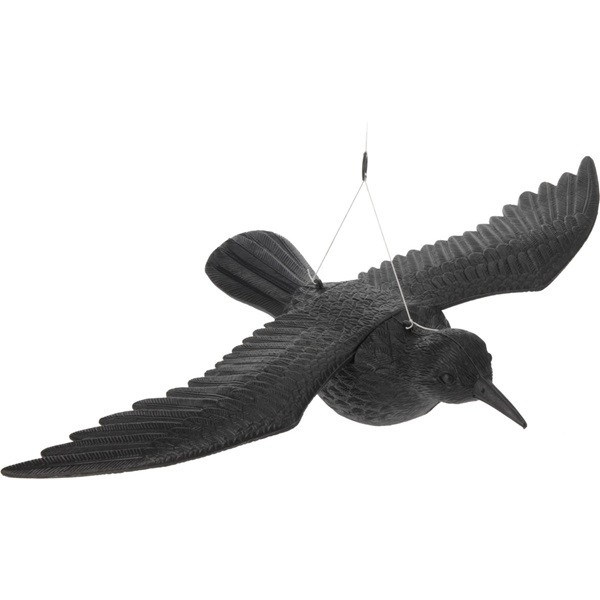 Gardalux Vogelverjager | Gardalux | Raaf | 40 x 57cm 836360330 K170112133 - 1