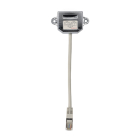 Gembird Netwerk splitter - Gembird - 15 centimeter (1 x RJ45 (m), 2 x RJ45 (v), 2-poorts) NCA-SP-02 K060302272 - 2