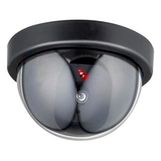 Grundig Dummy Camera Dome | Grundig (Binnen/Buiten) 871125225961 K170108244 - 1