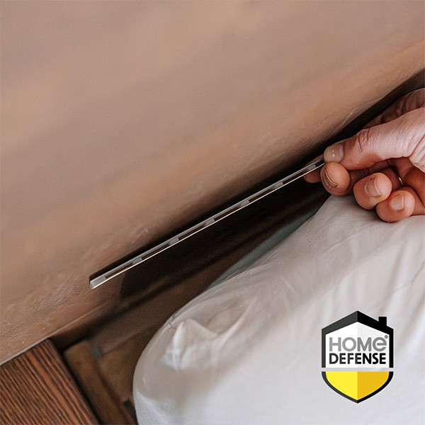 Home Defense Bedwantsen lijmval | Home Defense | 2 stuks HDBBTRAP K170501734 - 3