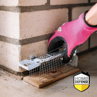 Home Defense Diervriendelijke muizenval | Home Defense | 15.4 x 6 x 7.2 cm (50 cm, RVS, Grijs) 723128 K170501695 - 2