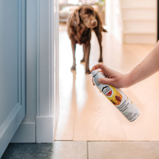 Home Defense Mieren en kruipende insecten spray | Home Defense | 300 ml 7202010513 HDACSP K170115638 - 6