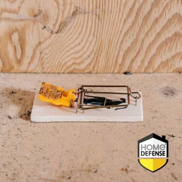 Home Defense Muizenval | Home Defense | 2 stuks (Hout) 28335 HDSOU K170112015 - 4