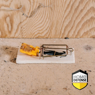 Home Defense Muizenval | Home Defense (Hout, 2 stuks) 28335 HDSOU K170112015 - 4