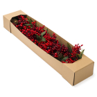 House of Seasons Guirlande | House of Seasons | 1.78 meter (Groen, Binnen/Buiten) 1165303 K151100120 - 3