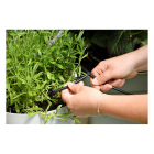 Hozelock Bewateringssysteem | Hozelock | 20 meter (20 planten, Zonnepaneel)  K170103272 - 4