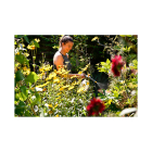 Hozelock Plantenspuit | Hozelock T | 1 liter (Verstelbare spuitmond, Ergonomisch) 4124 0000 K170113040 - 2