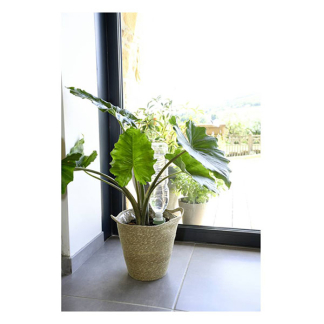 Hozelock Waterdruppelaar | Hozelock | 1-delig (Keramiek, Groot, Geel) 100-101-064 K170103258 - 4
