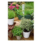 Hozelock Waterdruppelaar | Hozelock | 4-delig (Keramiek, Extra groot, Roze) 100-101-074 K170103261 - 6