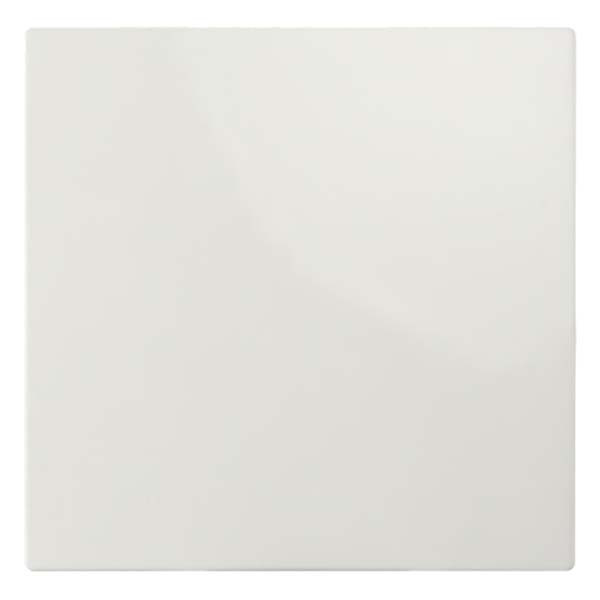 ION Industries Bedieningswip voor inbouwschakelaar | ION Industries | E1 (Wissel, Mat wit) 66.119.01 K180107588 - 1