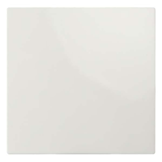 ION Industries Bedieningswip voor inbouwschakelaar | ION Industries | E1 (Wissel, Mat wit) 66.119.01 K180107588 - 1