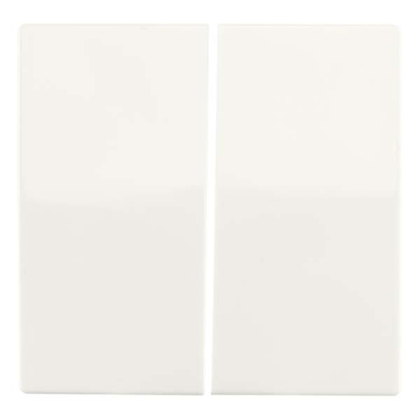 ION Industries Bedieningswip voor inbouwschakelaar | ION Industries | V1/J1 (Serie, Mat wit) 66.009.04 K180107585 - 1