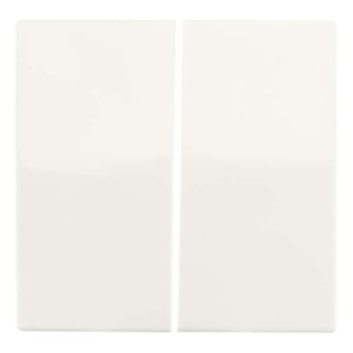 ION Industries Bedieningswip voor inbouwschakelaar | ION Industries | V1/J1 (Serie, Mat wit) 66.009.04 K180107585 - 1