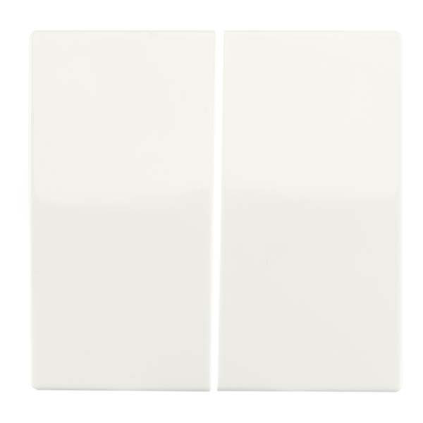 ION Industries Bedieningswip voor inbouwschakelaar | ION Industries | V1/J1 (Serie, Wit) 66.006.04 K180107584 - 1