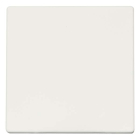 ION Industries Bedieningswip voor inbouwschakelaar | ION Industries | V1/J1 (Wissel, Mat wit) 66.009.01 K180107591 - 1