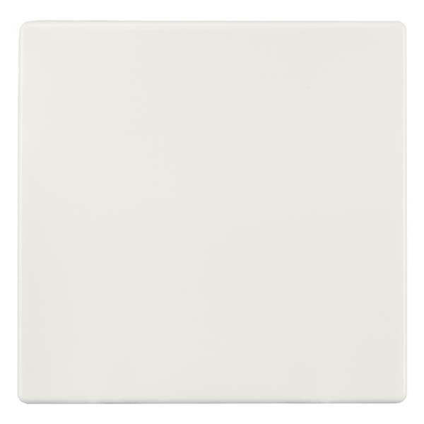 ION Industries Bedieningswip voor inbouwschakelaar | ION Industries | V1/J1 (Wissel, Wit) 66.006.01 K180107590 - 1