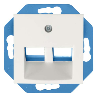 ION Industries Centraalplaat  | ION Industries | E1 (30°, Modulair, 2-voudig, Cat/Coax, Mat wit) 66.119.89 K180107648 - 1
