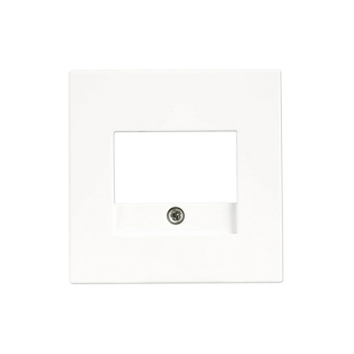 ION Industries Centraalplaat  | ION Industries | V1/J1 ( USB, TAE, Wit) 66.006.66 K180107602 - 2