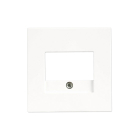 ION Industries Centraalplaat  | ION Industries | V1/J1 ( USB, TAE, Wit) 66.006.66 K180107602 - 2