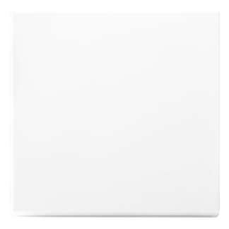 ION Industries Tastdimmer knop | ION Industries | V1/J1 (Enkel, Wit) 58.006.72 K180108120 - 3