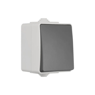 ION Industries Wisselschakelaar voor buiten | ION Industries (IP54, Mat grijs) 66.944.01 K100100517 - 2