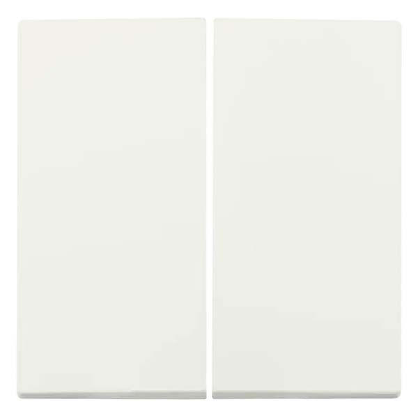 ION Industries Wissel/wisselschakelaar | ION Industries | E1 (Inbouw, Mat wit)  K180108098 - 5