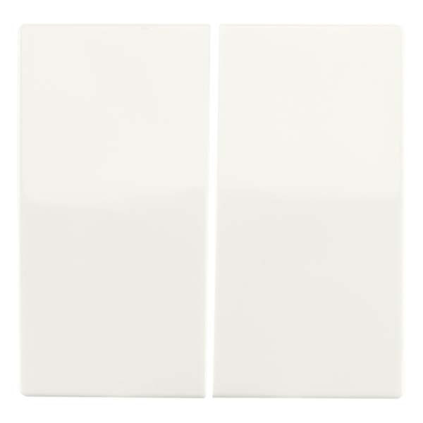 ION Industries Wissel/wisselschakelaar | ION Industries | V1/J1 (Inbouw, Mat wit)  K180108095 - 5
