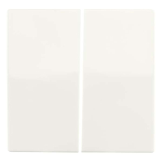 ION Industries Wissel/wisselschakelaar | ION Industries | V1/J1 (Inbouw, Mat wit)  K180108095 - 5