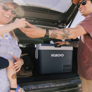 Igloo Elektrische koelbox | Igloo | 32 liter (ICF 32, Handvat, AC/DC, Instelbare temperatuur) 9620012750 K170105137 - 4