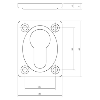 Intersteel Cilinderrozet | Intersteel (Rechthoekig, Glanzend) 0018.318317 K010809170 - 