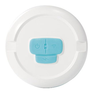 Intex Digitale watertester | Intex (pH, Chloor, Temperatuur, Wifi) 28607 K180107878 - 3