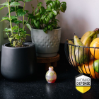 KB Home Defense Fruitvliegjesval | Home Defense 7021027100 K170116194 - 5