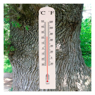 Kinzo Buitenthermometer | Kinzo | 50 cm (Muurbevestiging, -30 tot 50 °C) 871125230485 K170116448 - 3