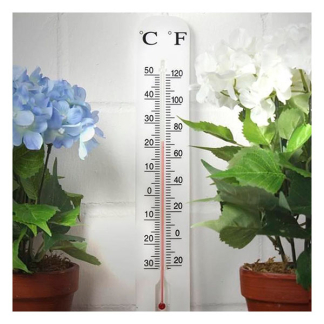 Kinzo Buitenthermometer | Kinzo | 50 cm (Muurbevestiging, -30 tot 50 °C) 871125230485 K170116448 - 4