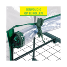 Kinzo Kweekkas | Kinzo | 69 x 49 x 160 cm (4 lagen, Foliekas, Ritssluiting, Doorzichtig) 871125219565 K170501645 - 5