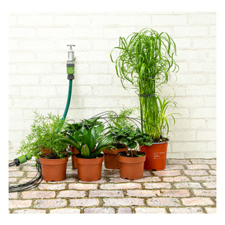 Kinzo Waterdruppelaarset | Kinzo | 10-delig (Incl. slangaansluiting) 871125227199 K170103279 - 3