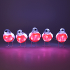 Konstsmide Kerstfiguur goudvink | Konstsmide | 15 cm | 5 stuks (5x8 leds, Acryl, Binnen/Buiten) 6269-203 K151001243 - 6