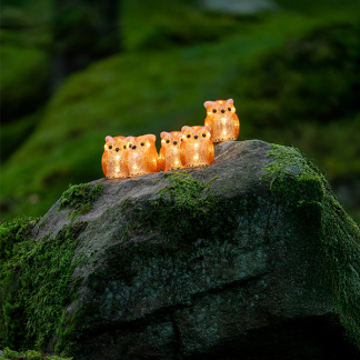 Konstsmide Kerstfiguur uil | Konstsmide | 10 cm | 5 stuks (5x8 leds, Acryl, Binnen/Buiten) 6135-103 K151001242 - 6