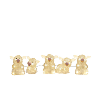 Konstsmide Kerstfiguur varken | Konstsmide | 13 cm | 5 stuks (5x8 leds, Acryl, Binnen/Buiten) 6232-103 K151001240