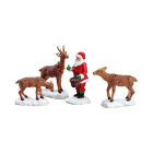 Lemax Kerstminiatuur | Lemax | Santa Feeds Reindeer | General Products | Set van 4 (Handgeschilderd) 52146 K151001585 - 1