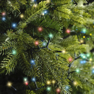 Lumineo Compact kerstverlichting | 12.5 meter | Lumineo (350 leds, Binnen/Buiten, Gekleurd, Timer, Twinkelen) 495254 K151200072 - 5