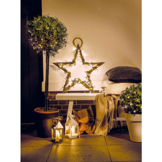 Lumineo Compact kerstverlichting | 12.5 meter | Lumineo (350 leds, Binnen/Buiten, Warm wit, Timer, Dimmer) 495334 K151000512 - 9