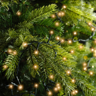 Lumineo Compact kerstverlichting | 21 meter | Lumineo (750 leds, Binnen/Buiten, Extra warm wit, Timer, Dimmer) 495372 K151000373 - 7