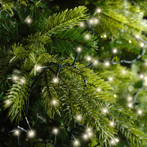 Lumineo Compact kerstverlichting | 27.5 meter | Lumineo (1000 leds, Timer, Dimmer, Binnen/Buiten, Warm wit) 495340 K151002336 - 7