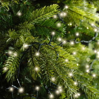 Lumineo Compact kerstverlichting | 27.5 meter | Lumineo (1000 leds, Timer, Dimmer, Binnen/Buiten, Warm wit) 495340 K151002336 - 7