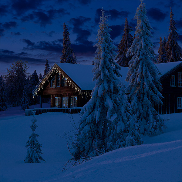 Lumineo IJspegelverlichting | 25 meter | Lumineo (490 leds, Timer, Binnen/Buiten, Warm wit, Wit snoer) 494809 K151200140 - 8